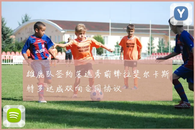 雄鹿队签约落选秀前锋拉斐尔卡斯特罗达成双向合同协议